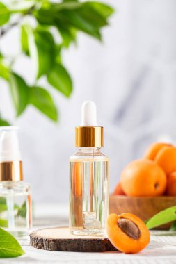 Şeftali tohumu özü ile şeffaf bir damlacıkta yağlı. Doğal kozmetikler. Boşluğu kopyala.