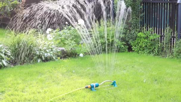 Het gras besproeien. Apparaat voor irrigatie van de grond. — Stockvideo