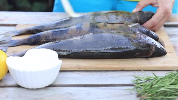 Повар смазывает рыбу маслом. Инструкция по приготовлению рыбы на гриле. — стоковое видео