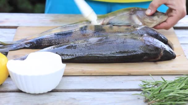 El cocinero engrasa el pescado con aceite. Instrucciones para cocinar pescado en la parrilla. — Vídeos de Stock