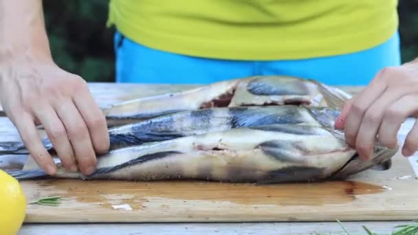 Der Koch reibt den Fisch mit Gewürzen ein. Anleitung zum Kochen von gegrilltem Fisch. — Stockvideo