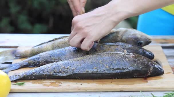 O cozinheiro esfrega o peixe com especiarias. Instruções para cozinhar peixe grelhado. — Vídeo de Stock