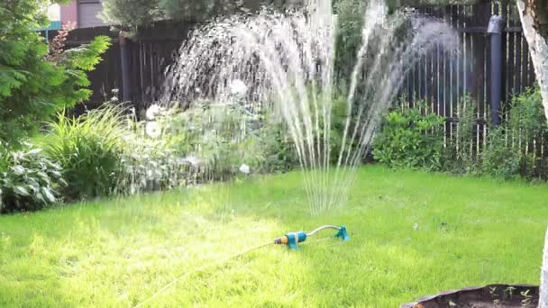 Het gras besproeien. Apparaat voor irrigatie van de grond. — Stockvideo