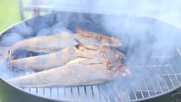 魚はバーベキューで調理されます。ビデオレシピ. — ストック動画