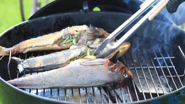 Ψάρι μαγειρεύεται στο μπάρμπεκιου. Συνταγή βίντεο. — Αρχείο Βίντεο