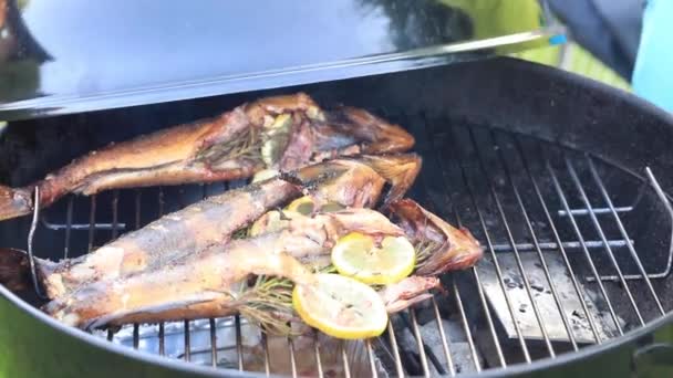 El pescado se cocina en la barbacoa. Video receta. — Vídeo de stock