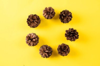 Sonbahar kompozisyonu. Metnin için bir koni çerçevesi. Boşluğu kopyala.