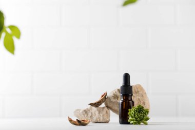 Yüzün ve vücudun derisi için doğal malzemelerle çevrili koyu bir pipetin içinde serum. Doğal Kozmetik