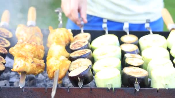 Los palitos de pollo, calabacín y berenjena se asan a la parrilla. Verduras a la parrilla. — Vídeo de stock