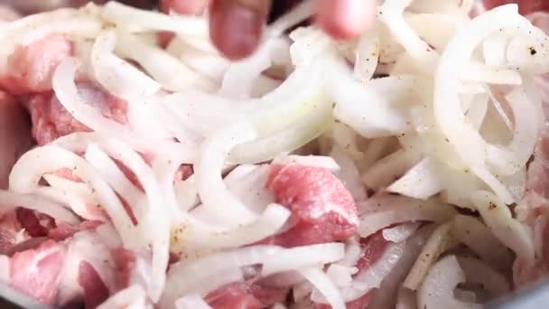 Lo chef marina pezzi di carne di maiale con cipolle. — Video Stock