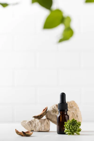 Serum för huden i ansikte och kropp i en mörk pipett omgiven av naturliga material. Naturkosmetika — Stockfoto