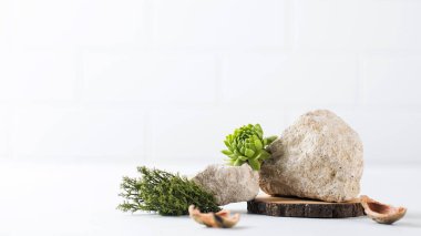 Ürününüzün sunumu için gri taşlar, yosunlar ve kabuk parçalarından oluşan bir podyum. Malların modern görüntüsü