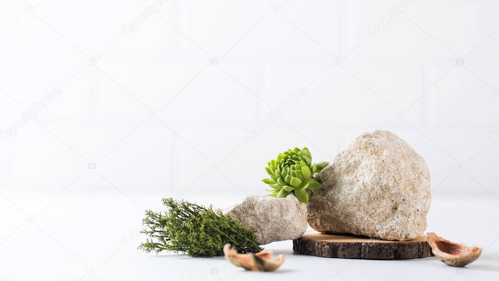 A podium made of gray stones, moss and pieces of shell for the presentation of your product. Modern display of goods