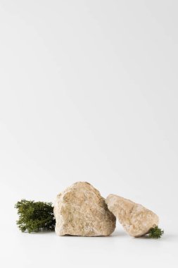 Gri taşlardan yapılmış bir podyum, ürününüzün sunumu için yosun. Malların modern görüntüsü