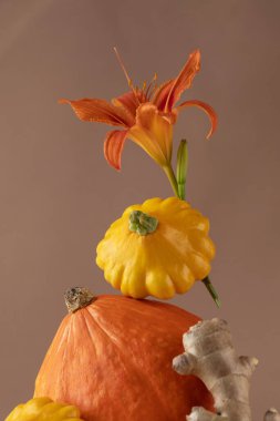 Balkabağı, pastırma ve zencefil dengesi. Sonbahar konsepti