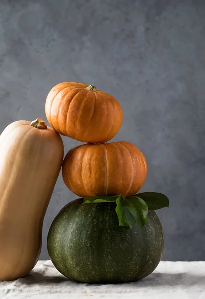 Ein Satz Kürbisse in verschiedenen Formen und Größen mit Platz für Text. Das Konzept von Herbst, Ernte und Erntedank. — Stockfoto