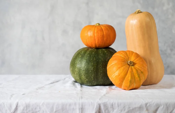 Ein Satz Kürbisse in verschiedenen Formen und Größen mit Platz für Text. Das Konzept von Herbst, Ernte und Erntedank. — Stockfoto