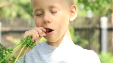 Doğada sebze bahçesinden havuç yiyen bir çocuğun yavaş videosu..