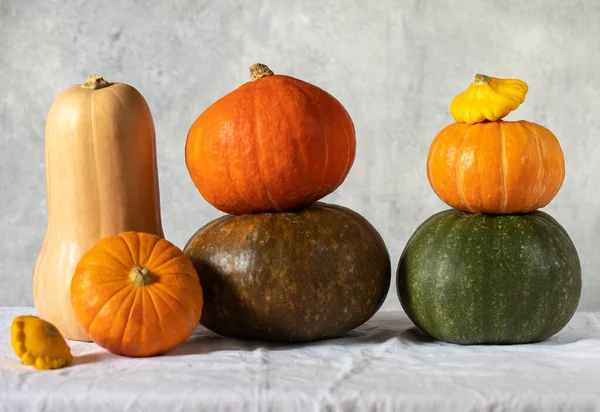 Un conjunto de calabazas de diferentes formas y tamaños. El concepto de otoño, cosecha y acción de gracias. —  Fotos de Stock