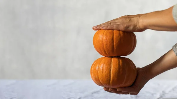 Frauenhände halten zwei orangefarbene Kürbisse. Das Konzept der Ernte, Herbst. Kopierraum. — Stockfoto