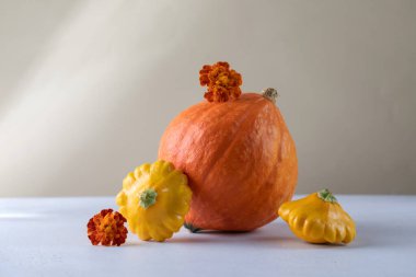 Balkabağı ve kabak dolu bir sonbahar. Şükran Günü ya da Cadılar Bayramı konsepti. Sonbahar havası. Boşluğu kopyala.