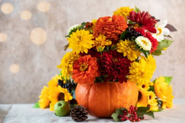 Balkabağında sarı ve kırmızı çiçeklerden oluşan güzel bir sonbahar buketi. Sonbahar, Şükran Günü konsepti. Boşluğu kopyala.