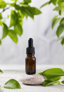 Yüzün ve vücudun derisi için serum yaprakların arasındaki bir taşın üzerindeki koyu bir damlacıkta. Doğal kozmetik konsepti