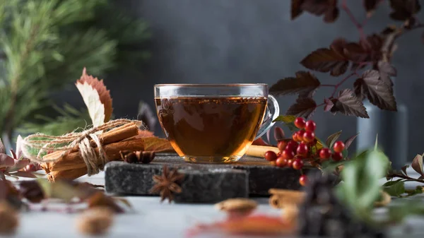 Delicioso chá acabado de fazer em uma xícara de vidro elegante na mesa com um quadro-negro e vários ingredientes naturais — Fotografia de Stock