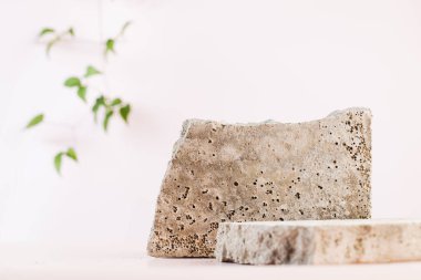 Kozmetik ürünlerin sunumu için boş bir beton podyum. Eko-ürün konsepti. Boşalt. 