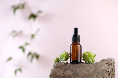 Yüzün ve vücudun derisi için doğal malzemelerle çevrili koyu bir pipetin içinde serum. Doğal Kozmetik