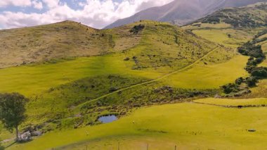 Mavi gökyüzünün altındaki yuvarlanan yeşil tepelerin üzerinde insansız hava aracı antenleri. Yeni Zelanda doğası, eko-turizm, manzaralı seyahat görüntüleri.