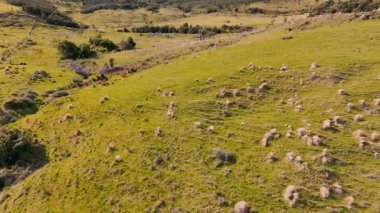 Yuvarlanan tepelerin ve açık mavi gökyüzünün altındaki sıradağların hava manzarası. Yeni Zelanda 'da mavi gökyüzünün altında yuvarlanan tepelerden ve sıradağlardan oluşan insansız hava aracı manzarası. Seyahat, çevre turizmi, doğa.