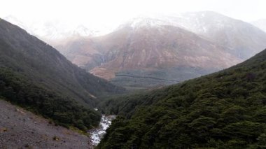 Yağmurlu bir günde, karla kaplı bir dağ manzaralı ağaçların arasında, bir dağ nehrinin üzerinde uçmak. Yeni Zelanda. Doğa ve turizm kavramı.