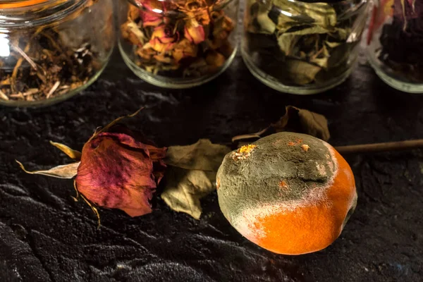 Kalıplı çürük portakallar (penisilyum italikum), kurumuş gül ve yapraklarla dolu cam kavanozlar üzerinde.