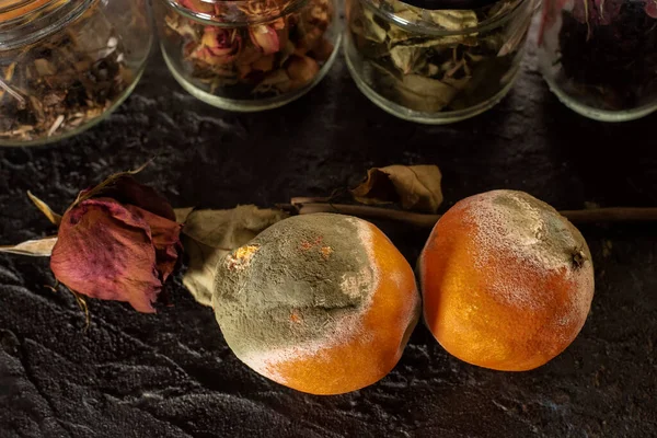 Deux Oranges Pourries Avec Moisissure Penicillium Italicum Sur Fond Foncé Images De Stock Libres De Droits