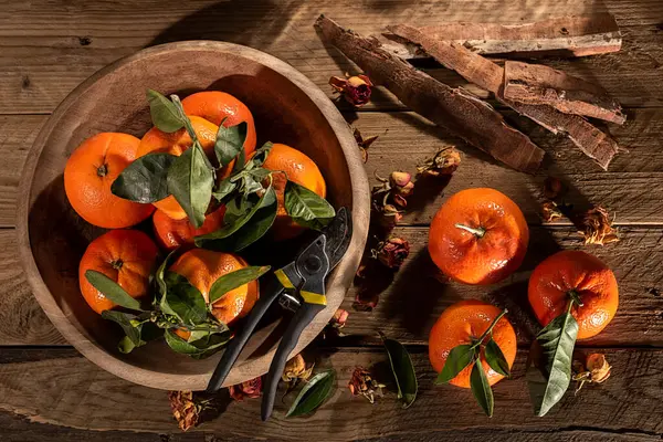 Ahşap masa üzerinde ahşap kasede budama makası ile taze toplanmış mandalinalar.