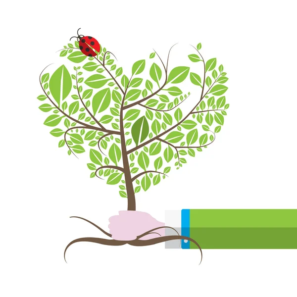 Drzewo w ludzkiej dłoni z Ladybird, biedronka. Ilustracja wektorowa na białym tle. — Wektor stockowy