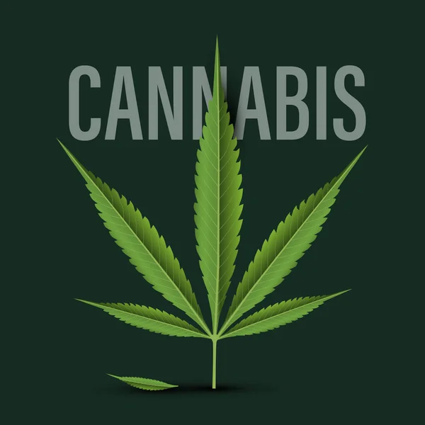 Cannabis Leaf Design Sul Backgroud Scuro Vettore — Vettoriale Stock