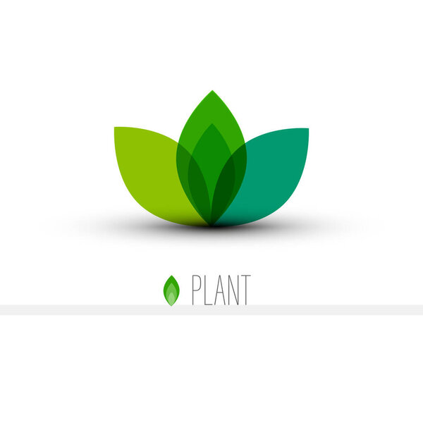 Plant Icon for Logo Designs - Green Leaves Vector Symbol Isolated