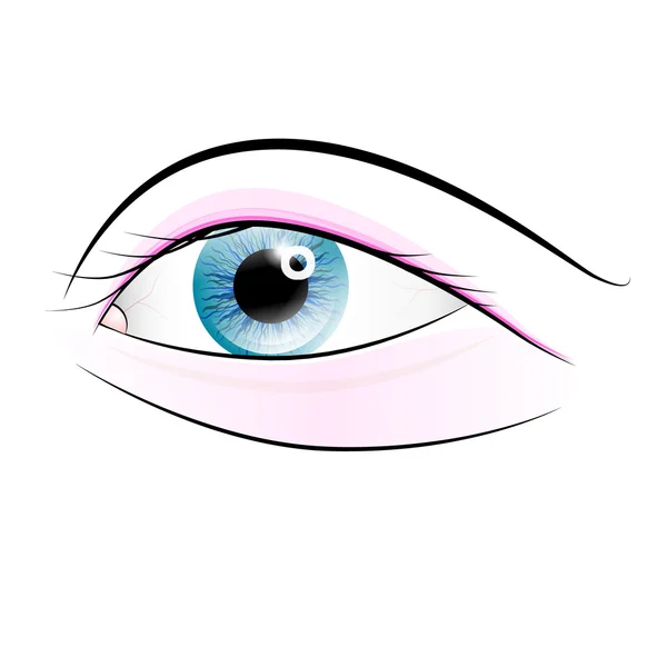 Occhio umano vettoriale isolato su sfondo bianco — Vettoriale Stock