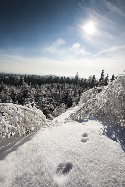 Winter Landscape Photo - Mountain Top View — Stock Photo, Image