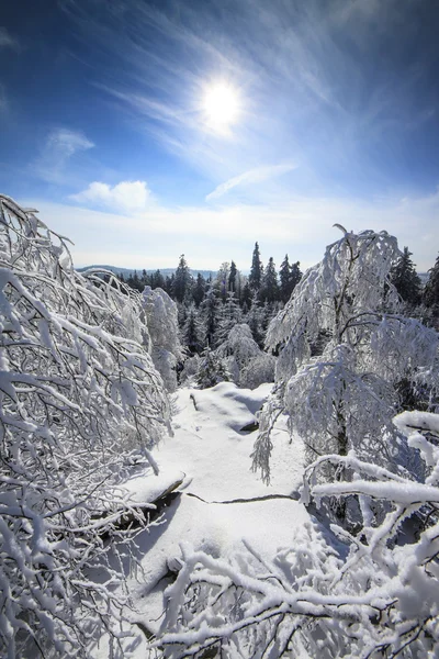 Snowy Winter landschap uitzicht vanaf de Top van de bergen met sneeuw, zon en blauwe hemel - verticale foto — Stockfoto