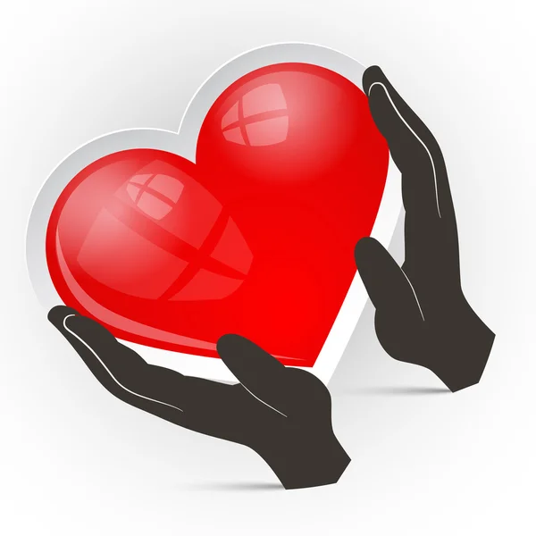 Heart in Hands Vector Illustration Isolated on White Background — Stock Vector