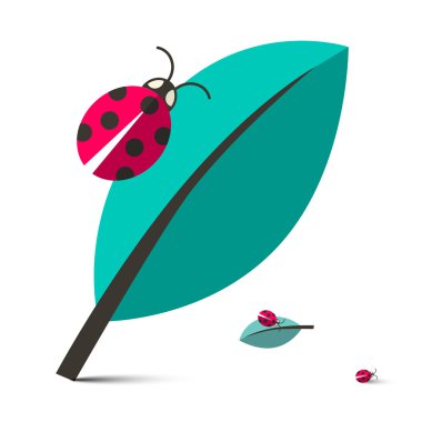 Ladybirds - Ladybugs yaprak üzerinde illüstrasyon izole beyaz arka plan üzerinde vektör