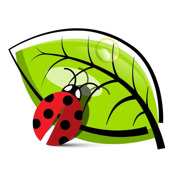 Ladybug Illustration with Leaf Isolated on White Background — Stock Vector