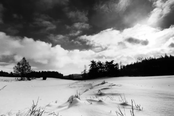 Χιόνι το χειμώνα πεδίο με δραματικό ουρανό και δάσους σε φόντο — Φωτογραφία Αρχείου