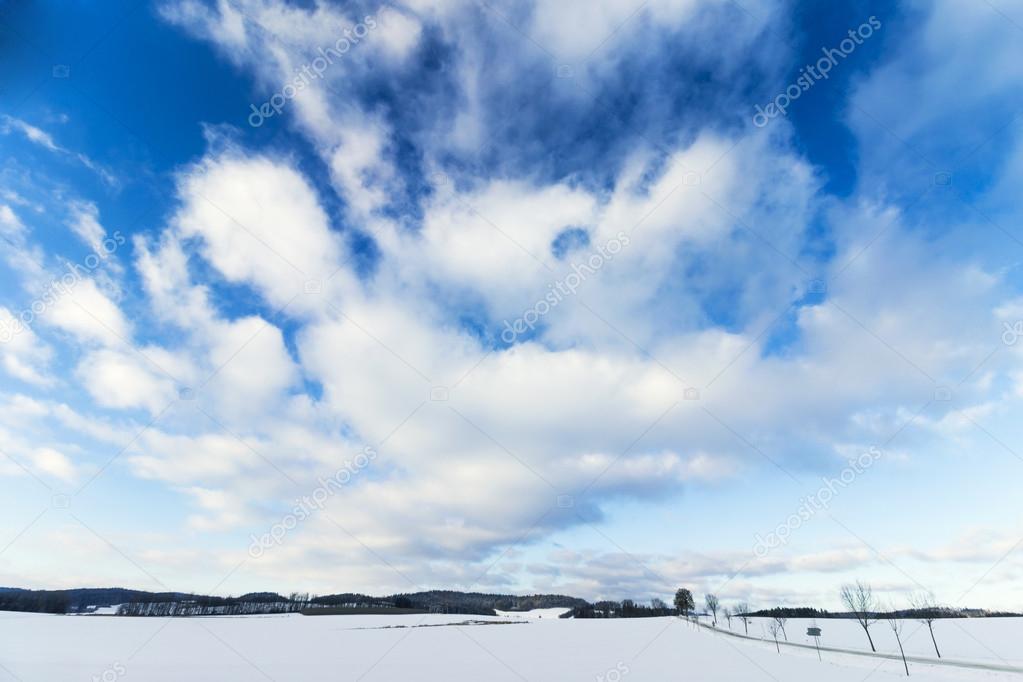 Winter Landscape with Large Blue Dramatic Sky