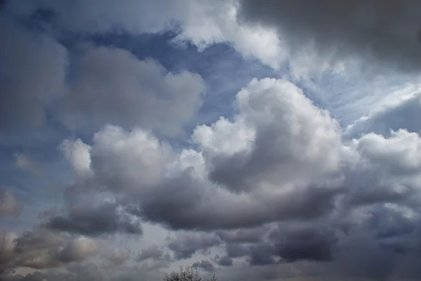 Ciel avec nuages blancs et hirondelle solitaire . — Photo
