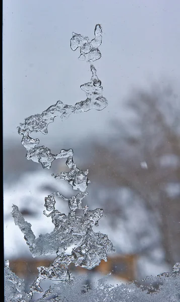 冬の雪解け後の窓からすの凍結. — ストック写真