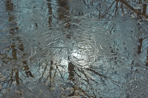 Reflectie van het bos in een bevriezing meer. — Stockfoto